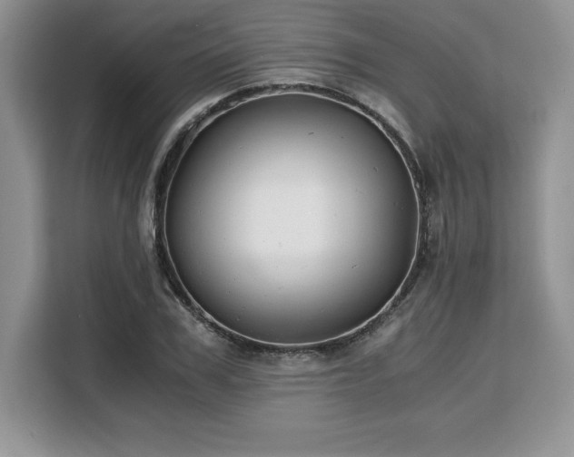 X0000110320979200905211523