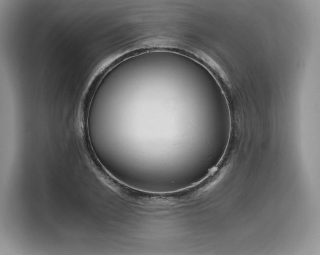 X0000110320981200905211523