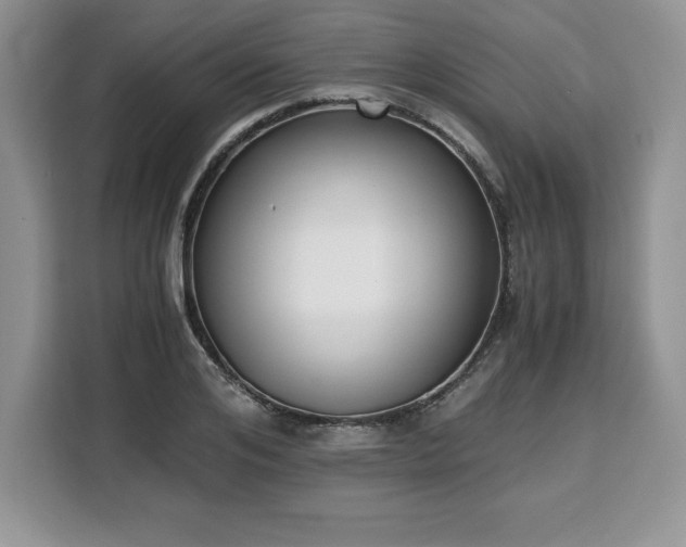X0000110320984200905211523