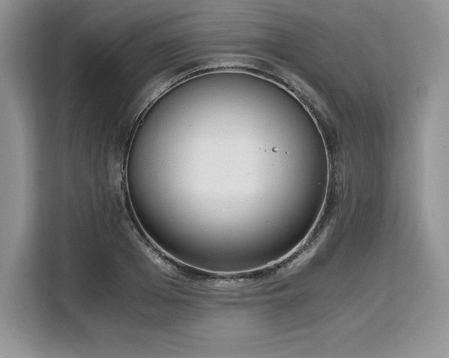 X0000110320985200905211523