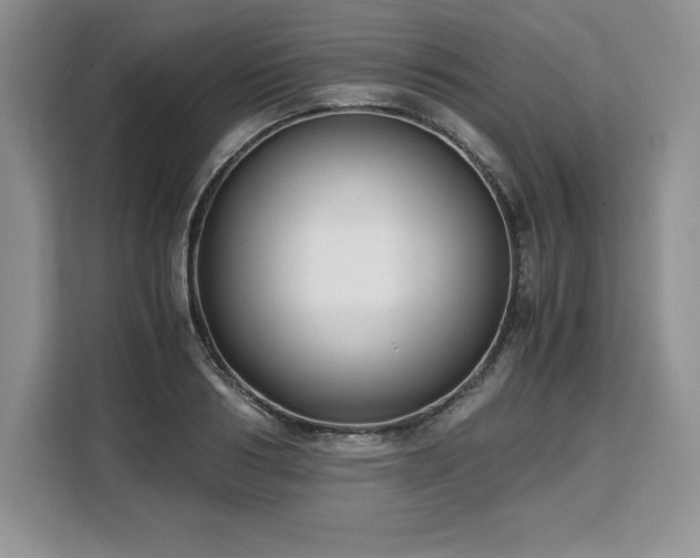 X0000110320986200905211523