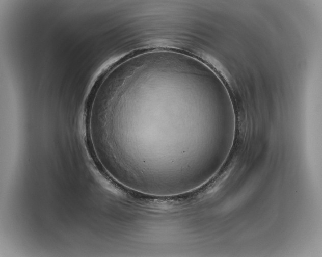 X0000110320987200905211523
