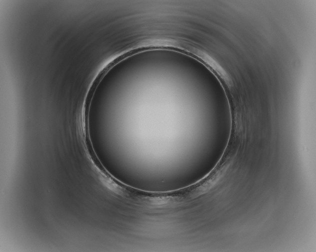 X0000110320988200905211523