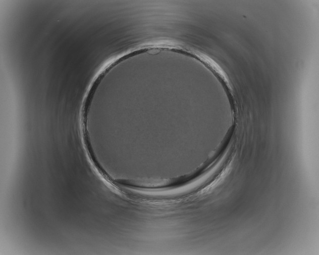 X0000110320989200905211523