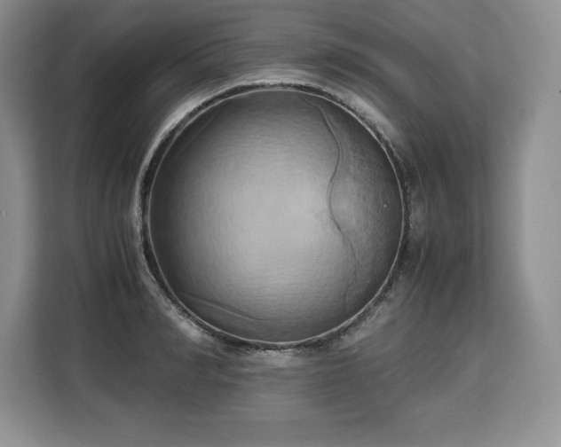 X0000110320990200905211523