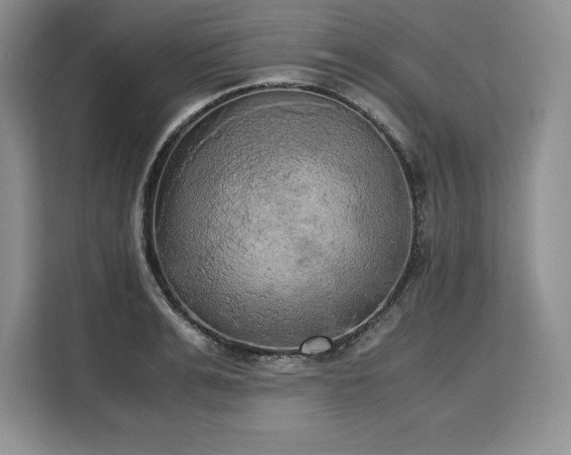 X0000110320991200905211523