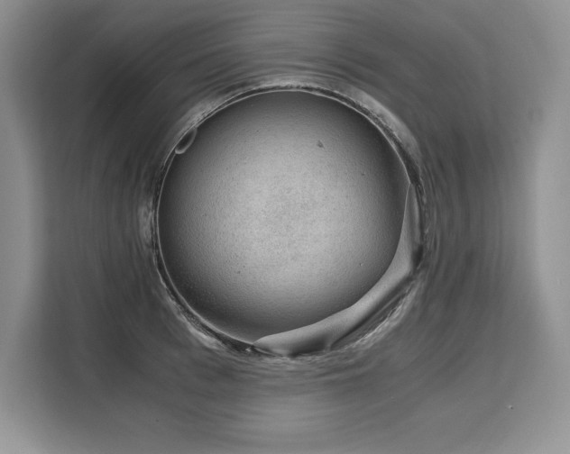 X0000110320993200905211523