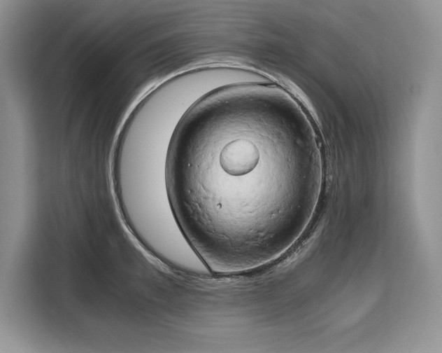X0000110320997200905211523