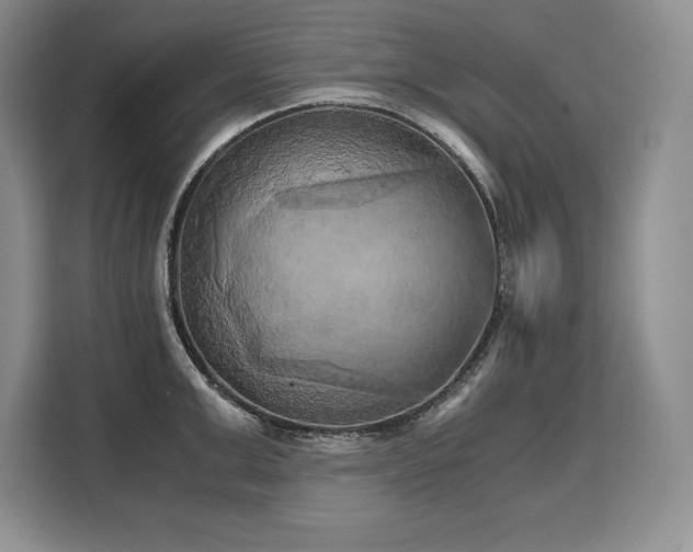 X0000110320999200905211523