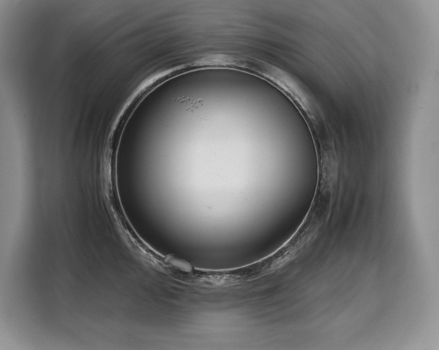 X0000110321000200905211522