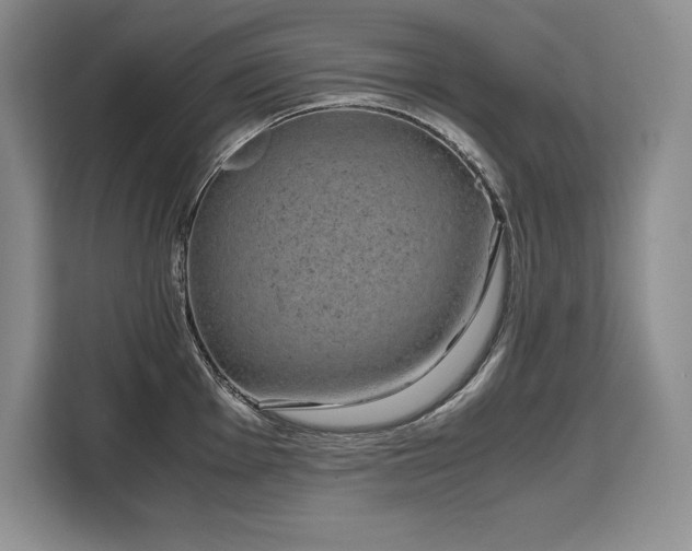 X0000110321001200905211522