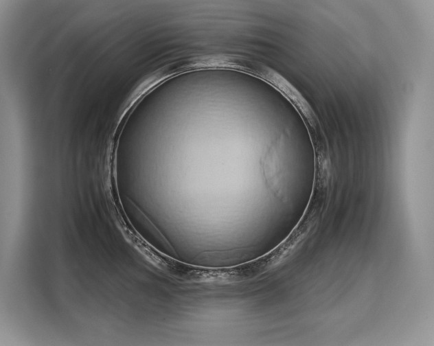 X0000110321002200905211522