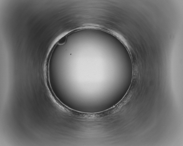 X0000110321003200905211522