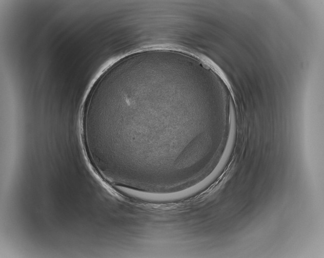 X0000110321005200905211522