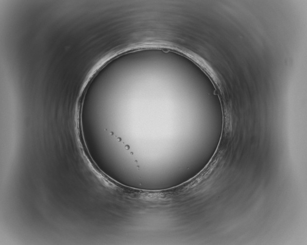X0000110321006200905211522