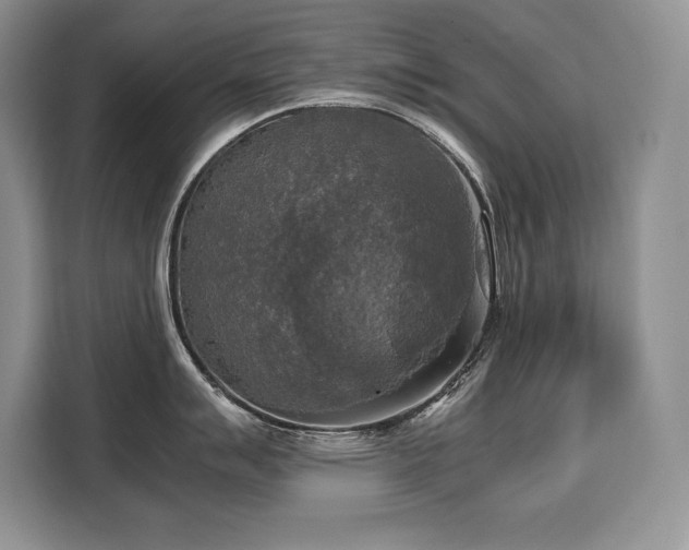 X0000110321007200905211522