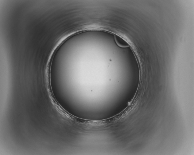 X0000110321008200905211522