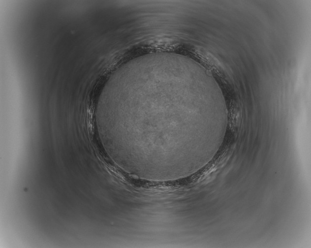 X0000110321010200905211522