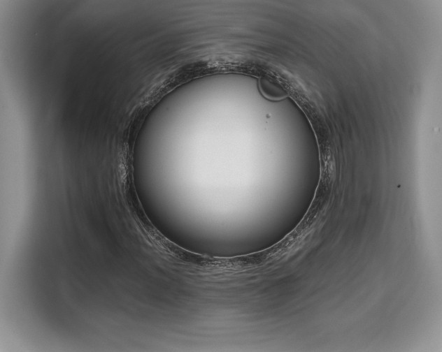 X0000110321012200905211522
