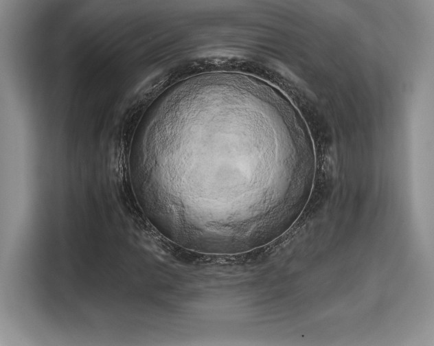 X0000110321014200905211522