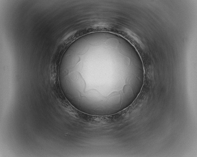 X0000110321015200905211522