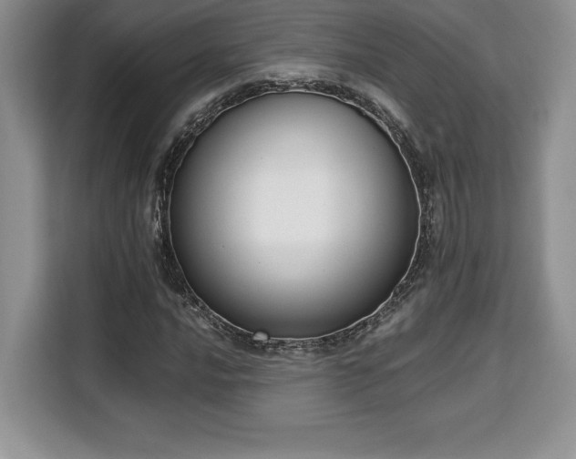 X0000110321016200905211522