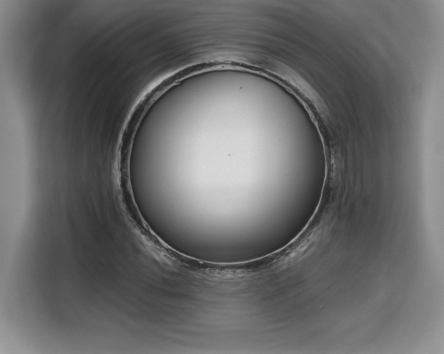 X0000110321020200905211522