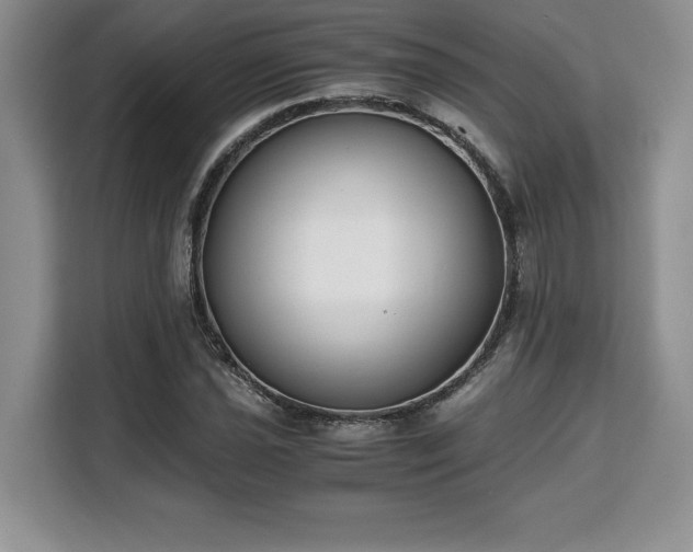 X0000110321021200905211522