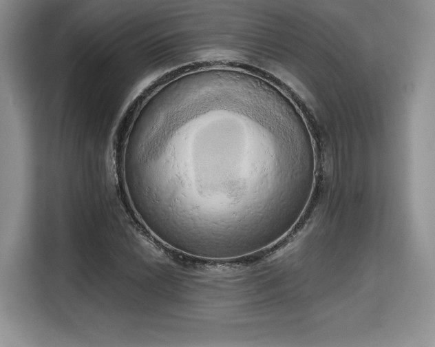 X0000110321022200905211522