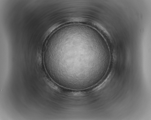 X0000110321025200905211522