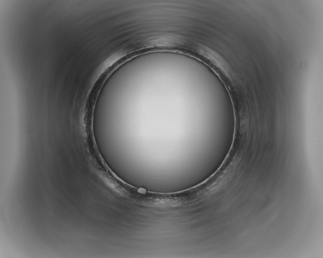 X0000110321026200905211522
