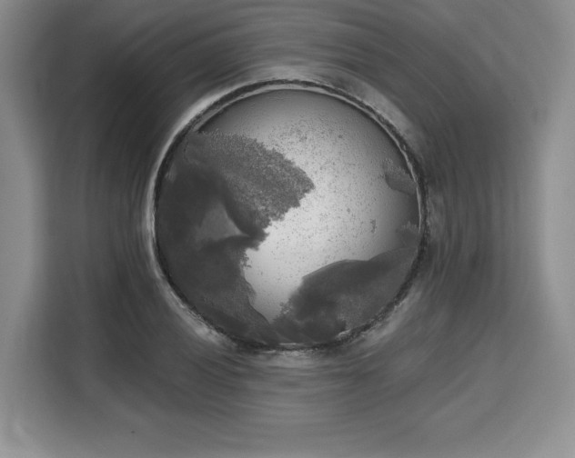 X0000110321028200905211522