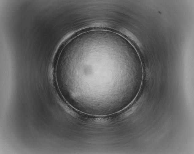 X0000110321029200905211522