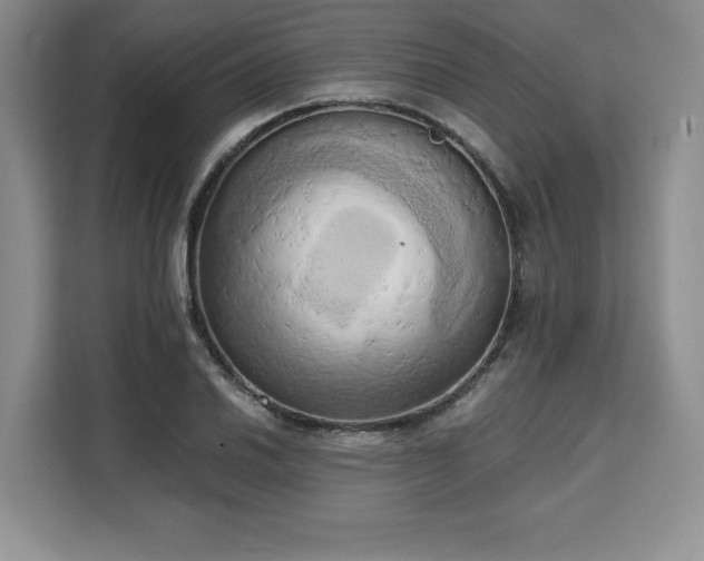X0000110321030200905211522
