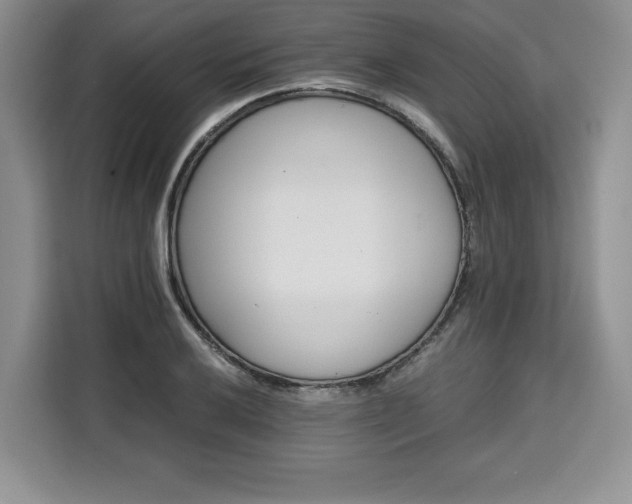 X0000110321032200905211522