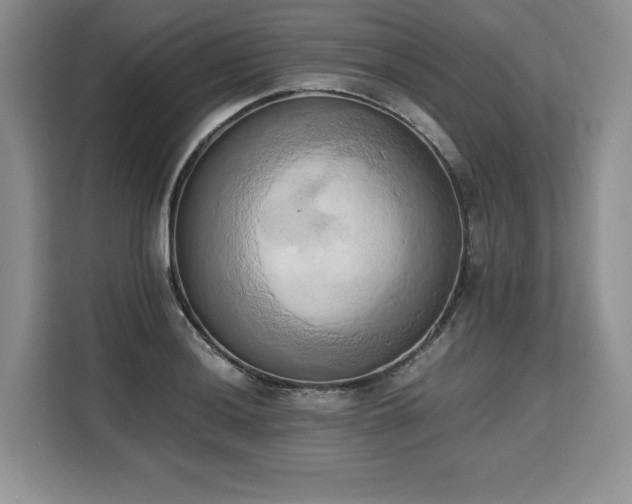 X0000110321036200905211522
