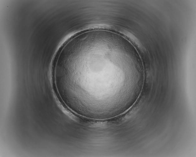 X0000110321038200905211522