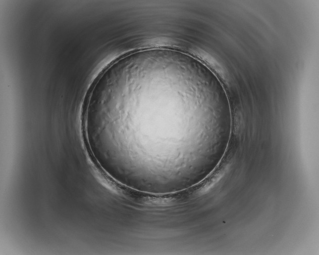 X0000110321039200905211522