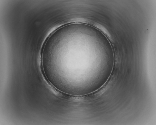 X0000110321040200905211522