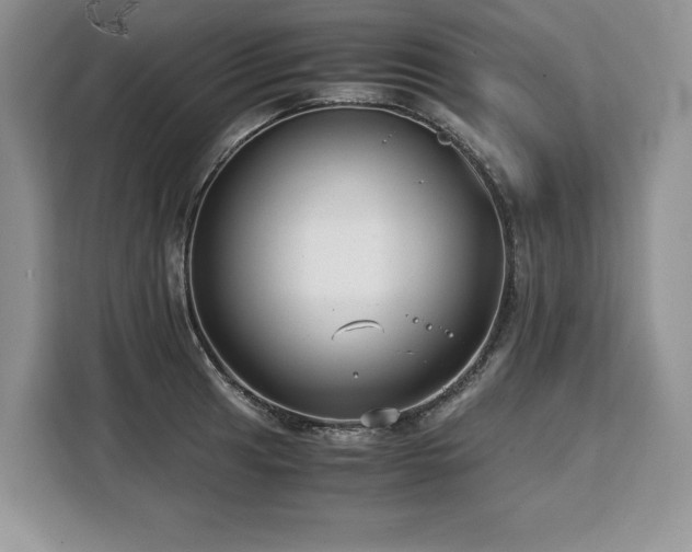 X0000110321041200905211522