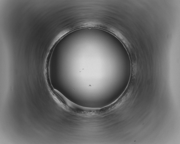 X0000110321042200905211522