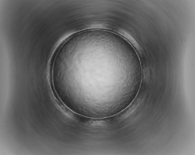 X0000110321043200905211522