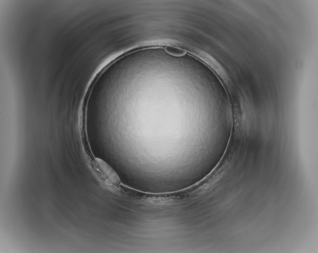 X0000110321044200905211522