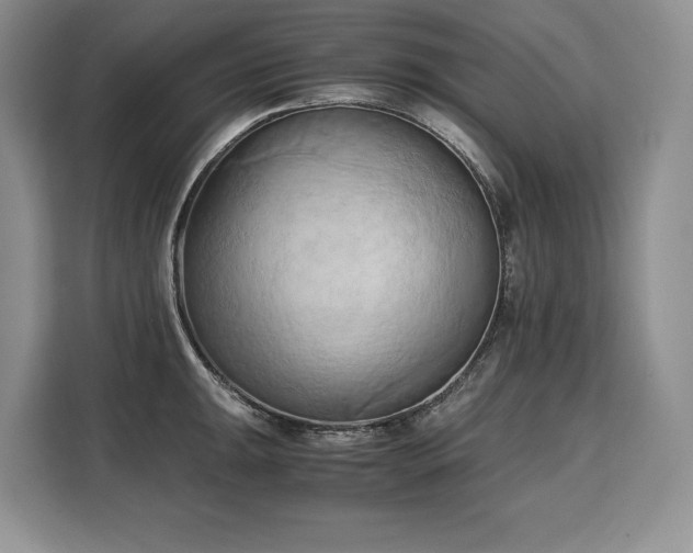 X0000110321047200905211522