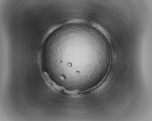 X0000110321049200905211522