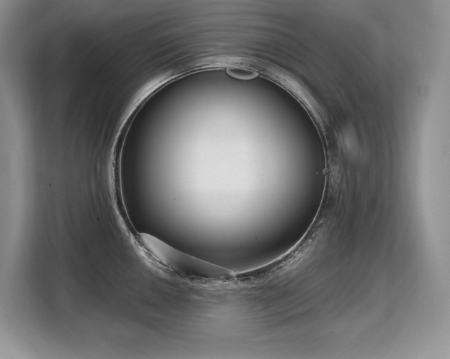 X0000110321050200905211522