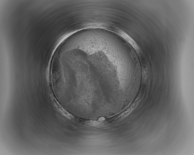 X0000110321052200905211522