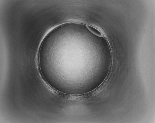 X0000110321056200905211522