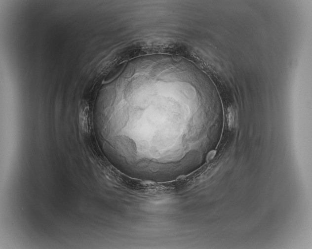 X0000110321059200905211522