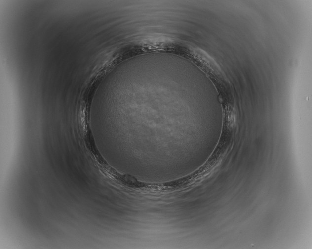 X0000110321060200905211522
